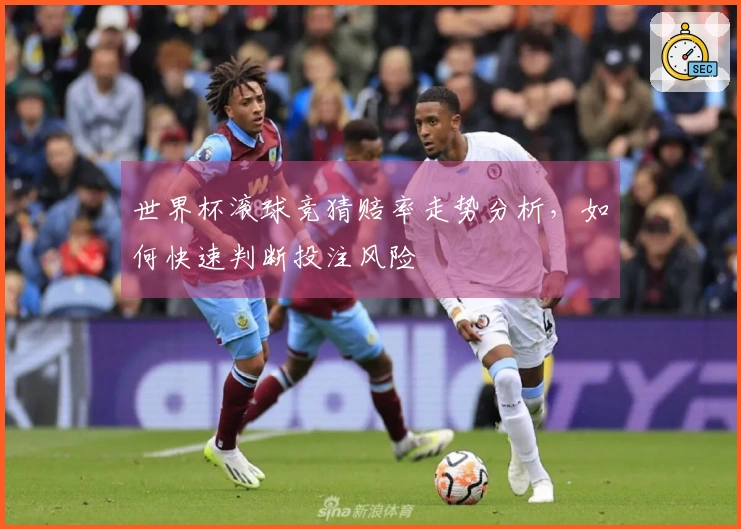 世界杯滚球竞猜赔率走势分析，如何快速判断投注风险