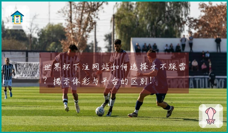 世界杯下注网站如何选择才不踩雷？揭示体彩与平台的区别！