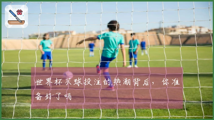 世界杯买球投注的热潮背后，你准备好了吗