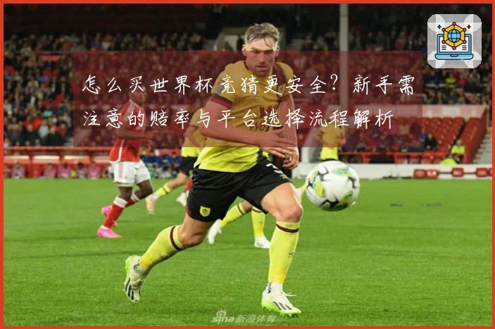 怎么买世界杯竞猜更安全？新手需注意的赔率与平台选择流程解析