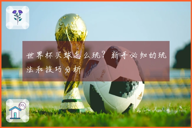 世界杯买球怎么玩？新手必知的玩法和技巧分析