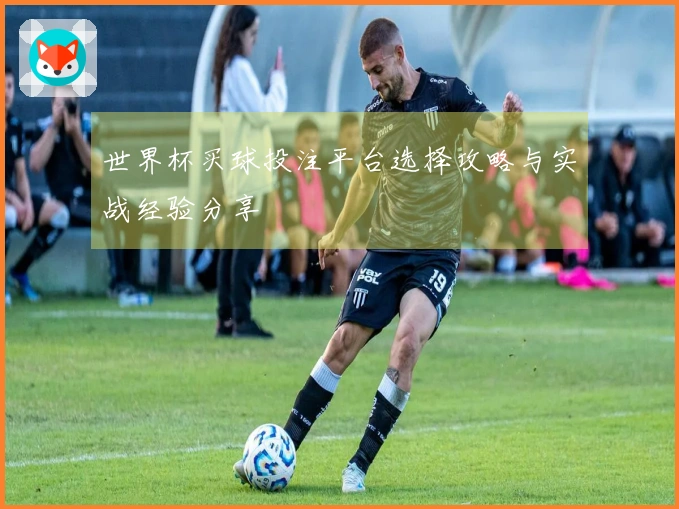 世界杯买球投注平台选择攻略与实战经验分享