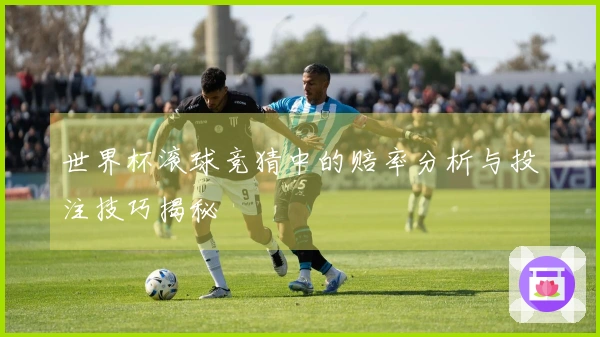 世界杯滚球竞猜中的赔率分析与投注技巧揭秘