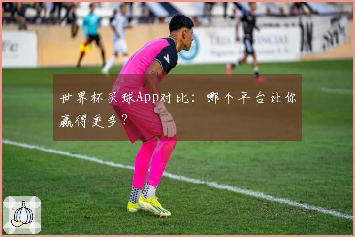 世界杯买球App对比：哪个平台让你赢得更多？
