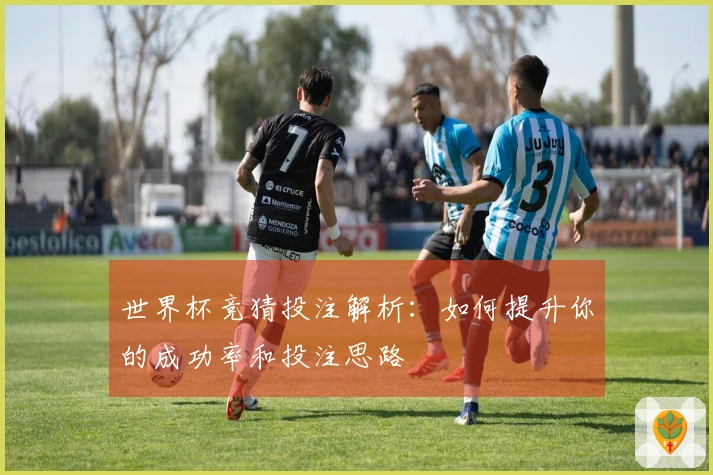 世界杯竞猜投注解析：如何提升你的成功率和投注思路