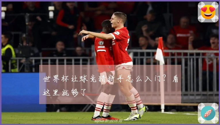 世界杯让球竞猜新手怎么入门？看这里就够了