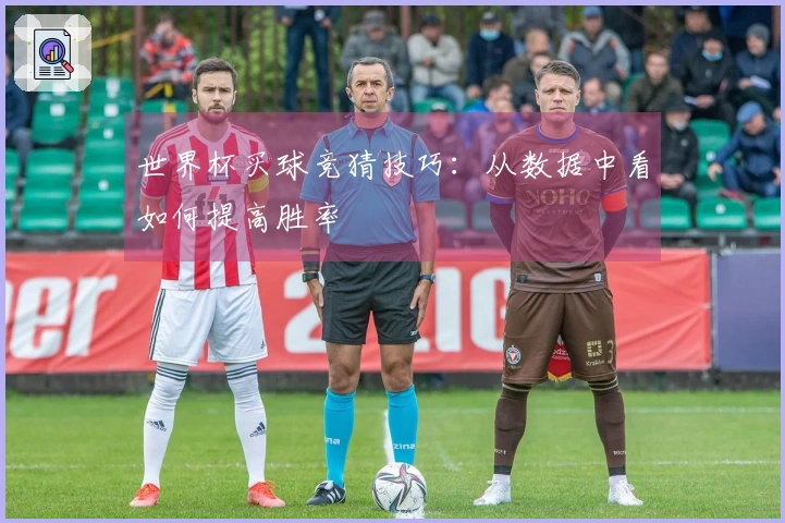 世界杯买球竞猜技巧：从数据中看如何提高胜率