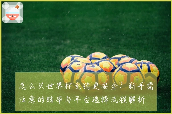 怎么买世界杯竞猜更安全？新手需注意的赔率与平台选择流程解析