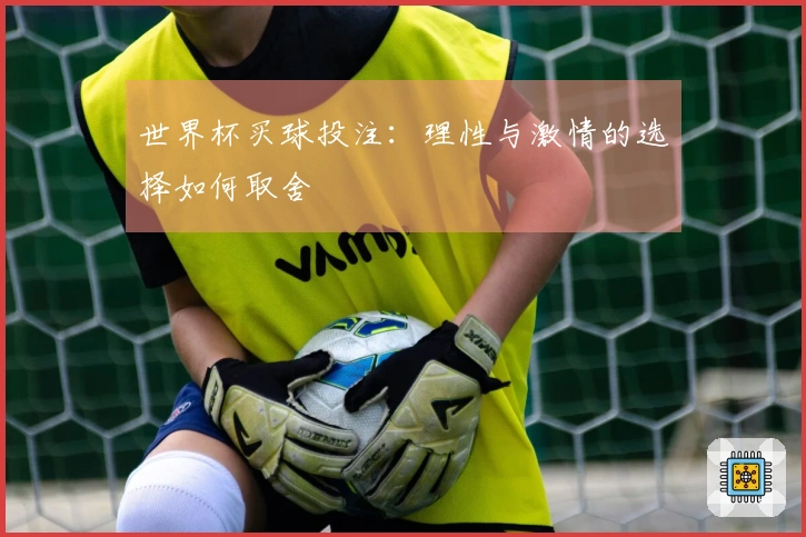 世界杯买球投注：理性与激情的选择如何取舍