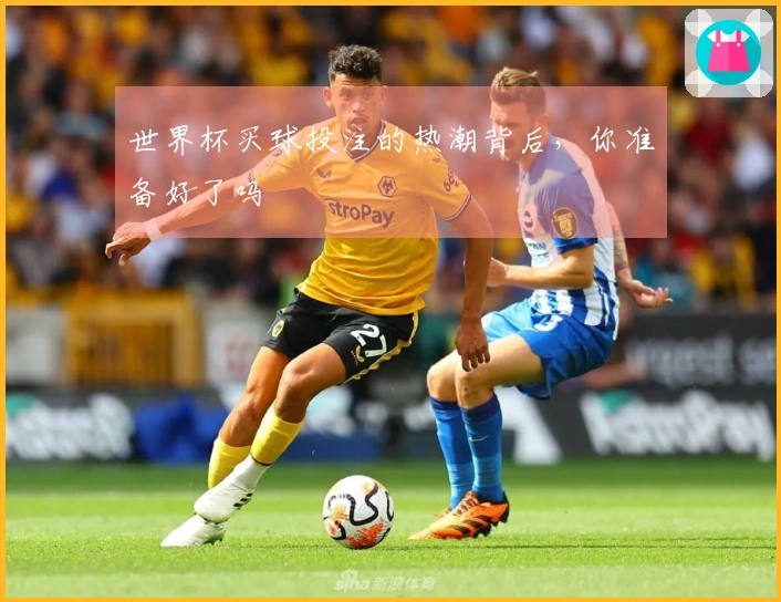 世界杯买球投注的热潮背后，你准备好了吗