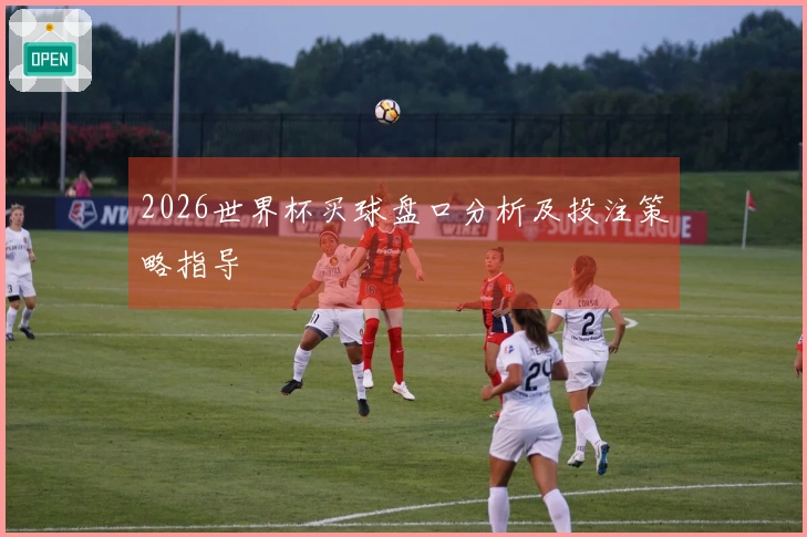 2026世界杯买球盘口分析及投注策略指导