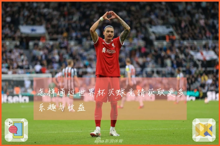 怎样通过世界杯买球竞猜获取更多乐趣与收益