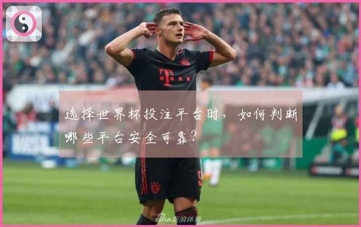 选择世界杯投注平台时，如何判断哪些平台安全可靠？