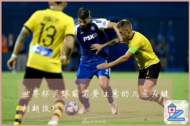 世界杯买球前需要注意的几点关键判断技巧