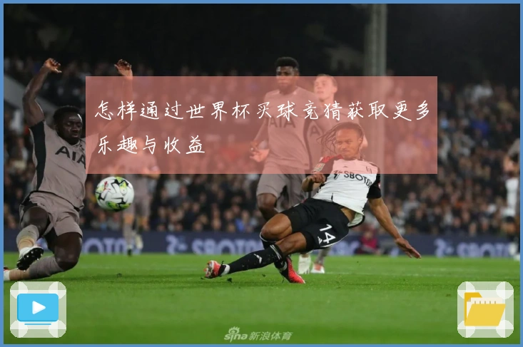怎样通过世界杯买球竞猜获取更多乐趣与收益