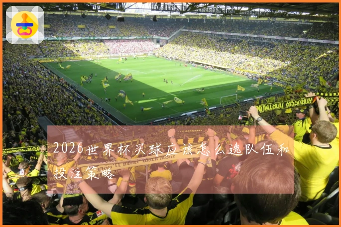 2026世界杯买球应该怎么选队伍和投注策略