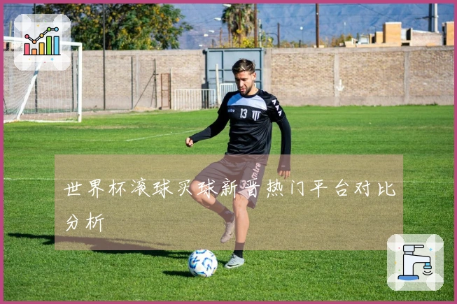 世界杯滚球买球新晋热门平台对比分析
