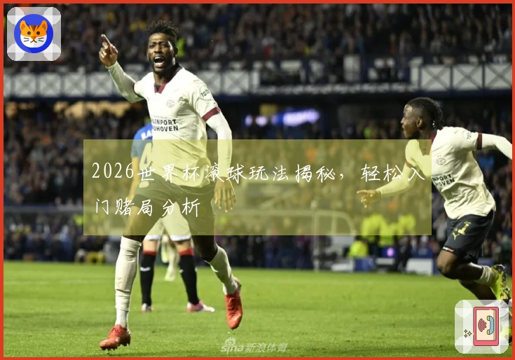 2026世界杯滚球玩法揭秘，轻松入门赌局分析