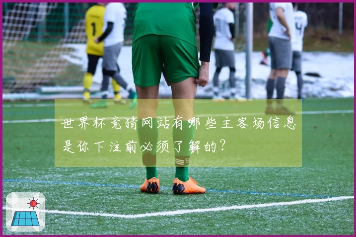 世界杯竞猜网站有哪些主客场信息是你下注前必须了解的？