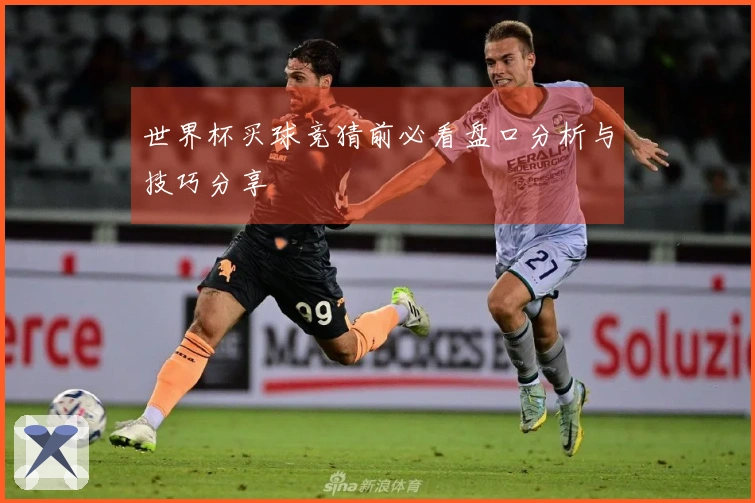 世界杯买球竞猜前必看盘口分析与技巧分享