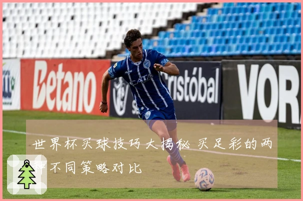 世界杯买球技巧大揭秘 买足彩的两种不同策略对比