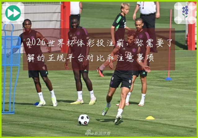 2026世界杯体彩投注前，你需要了解的正规平台对比和注意事项