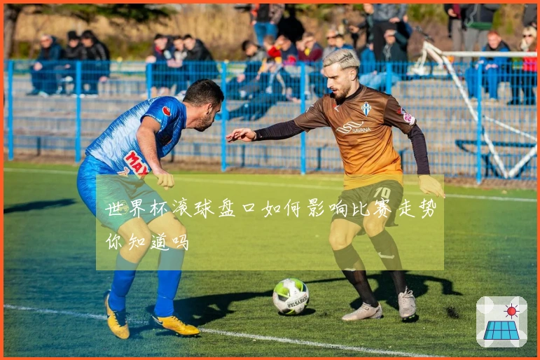 世界杯滚球盘口如何影响比赛走势你知道吗