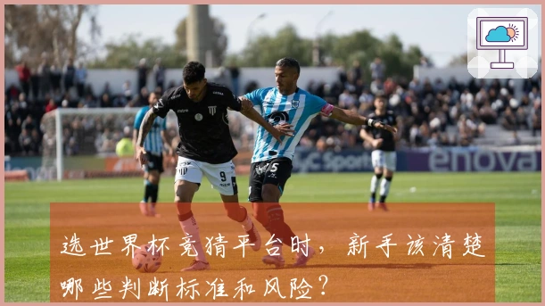 选世界杯竞猜平台时，新手该清楚哪些判断标准和风险？