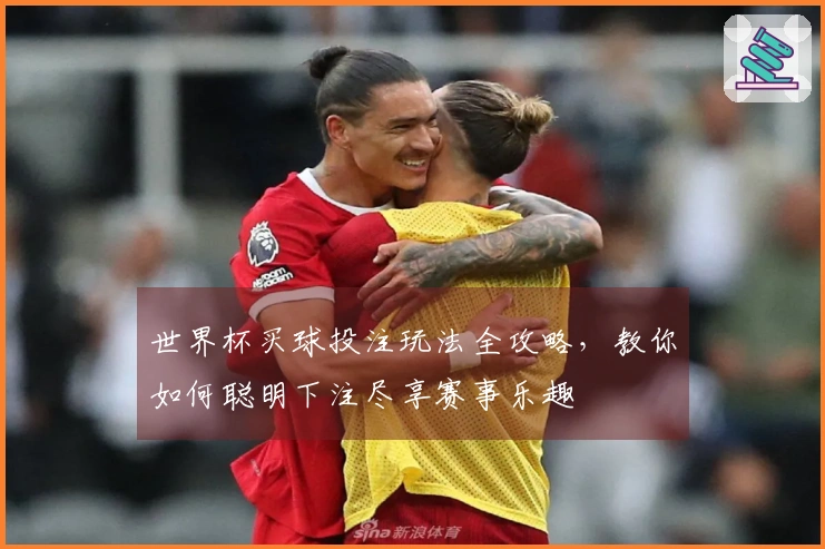 世界杯买球投注玩法全攻略，教你如何聪明下注尽享赛事乐趣
