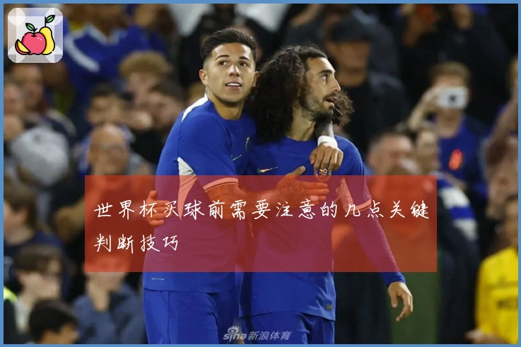 世界杯买球前需要注意的几点关键判断技巧