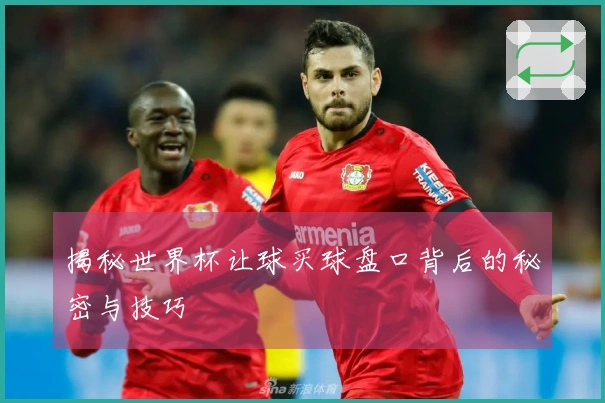 揭秘世界杯让球买球盘口背后的秘密与技巧
