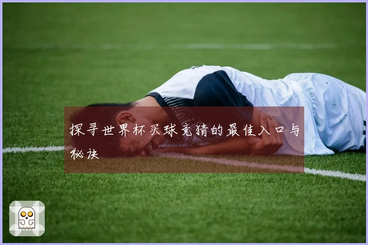 探寻世界杯买球竞猜的最佳入口与秘诀