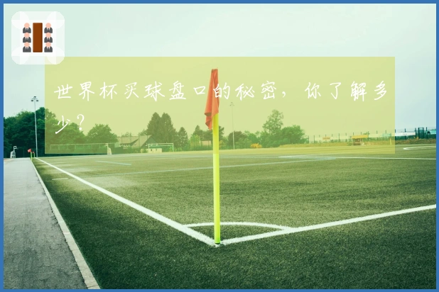 世界杯买球盘口的秘密，你了解多少？